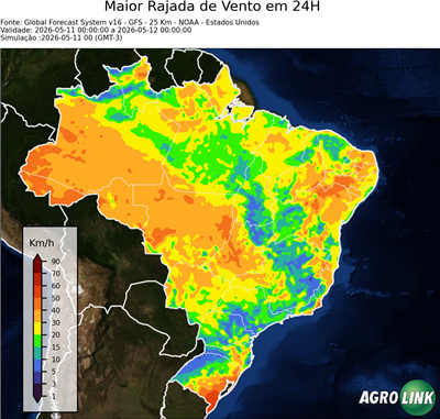24 horas