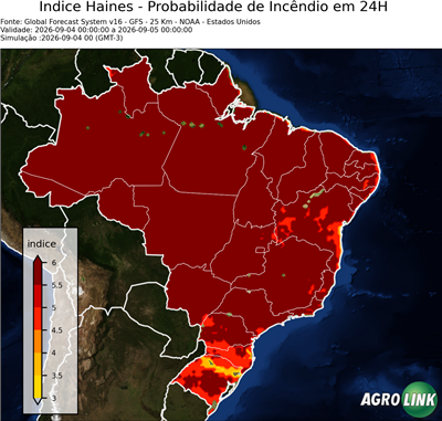 24 horas