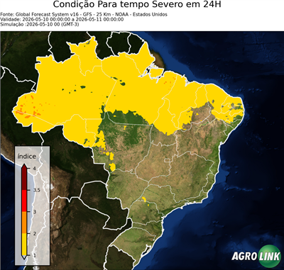 24 horas