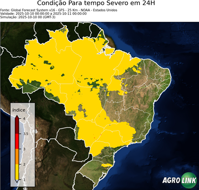 24 horas
