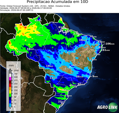 10 dias
