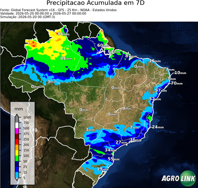 7 dias