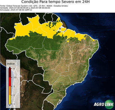 24 horas