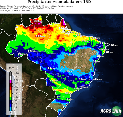 15 dias