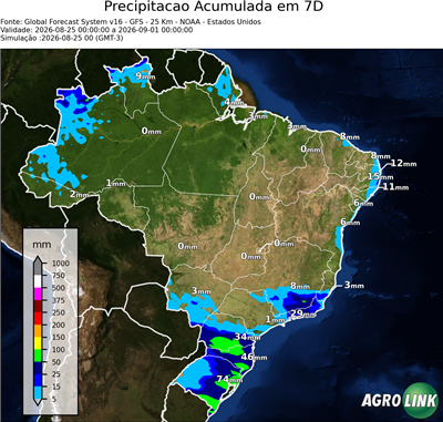 7 dias