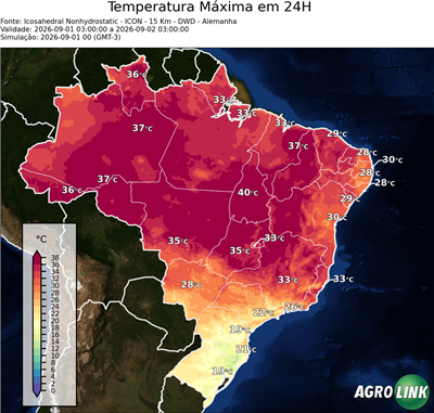 24 horas