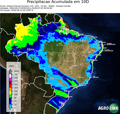 10 dias