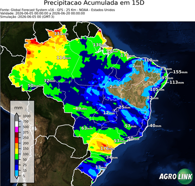 15 dias