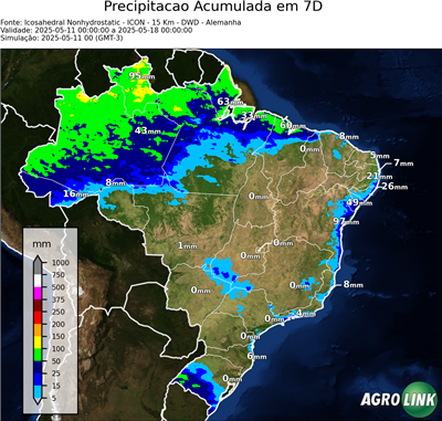 7 dias