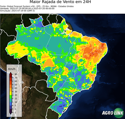 24 horas
