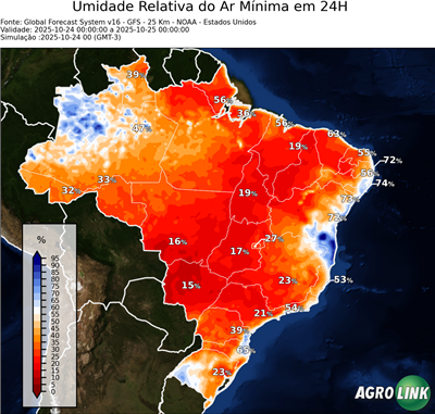 24 horas