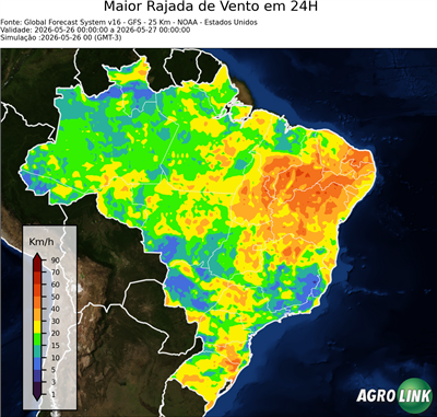 24 horas