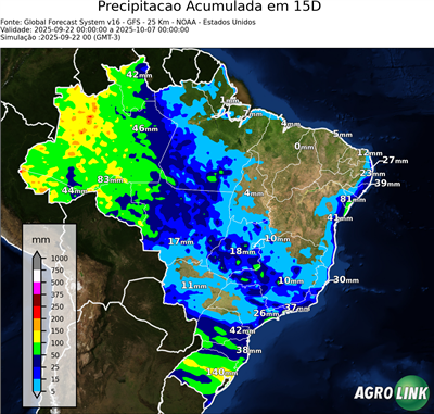 15 dias