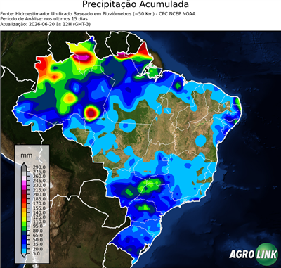 15 dias