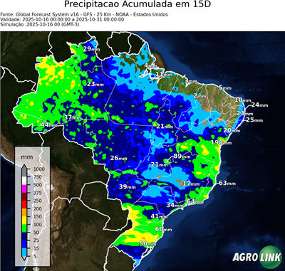 15 dias