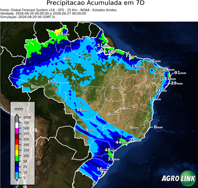 7 dias