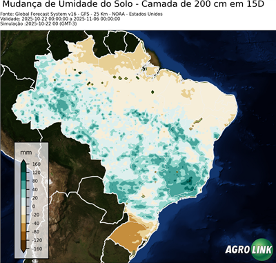 15 dias