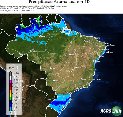 7 dias
