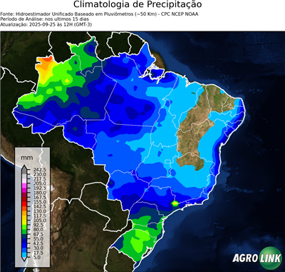 15 dias