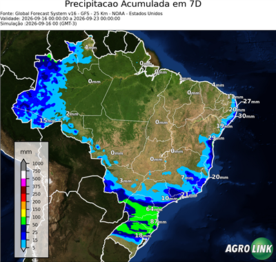 7 dias