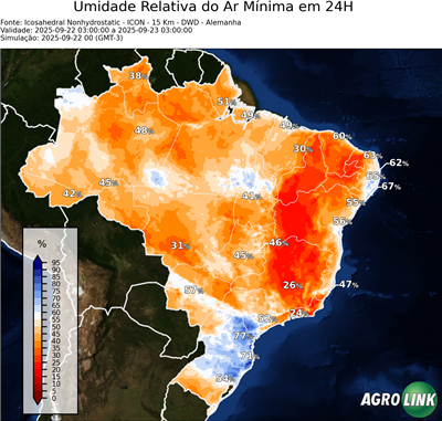 24 horas