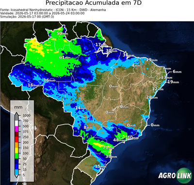 7 dias