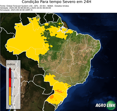 24 horas