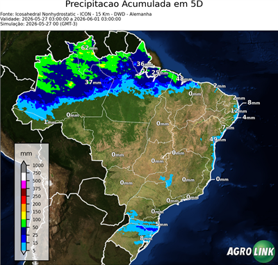 5 dias
