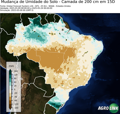 15 dias