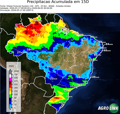 15 dias