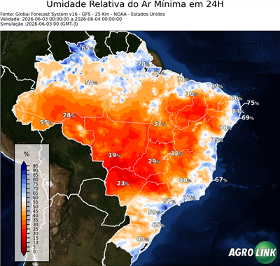 24 horas