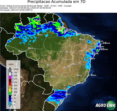 7 dias