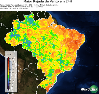 24 horas