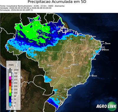 5 dias