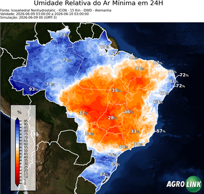 24 horas