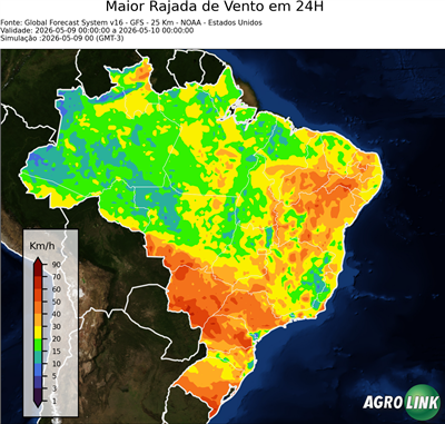 24 horas