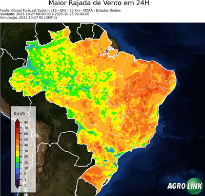 24 horas