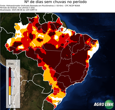 5 dias
