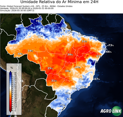 24 horas