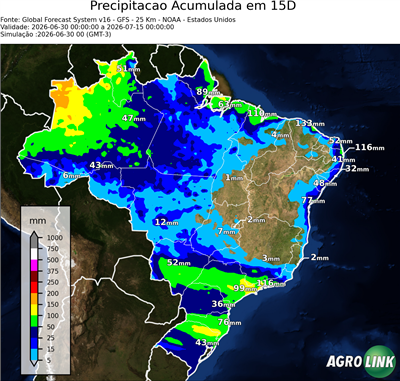 15 dias