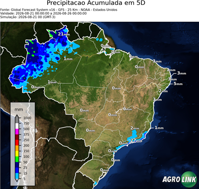 5 dias