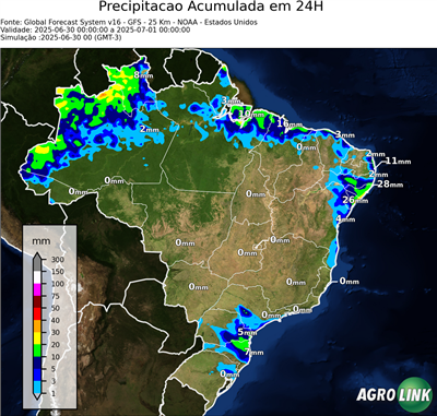 24 horas