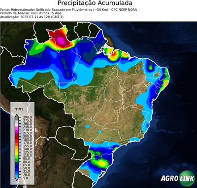 15 dias