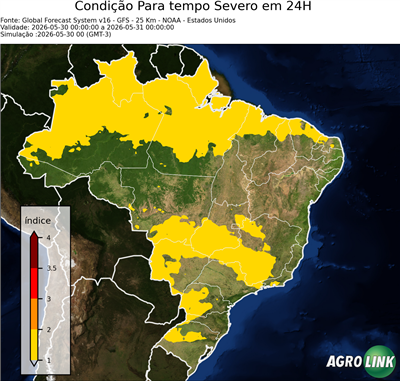 24 horas