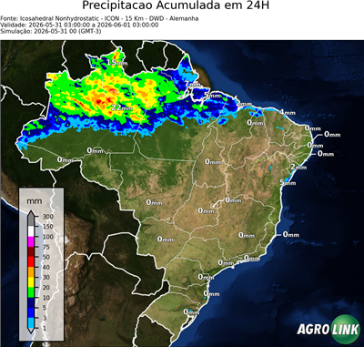 24 horas