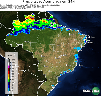 24 horas