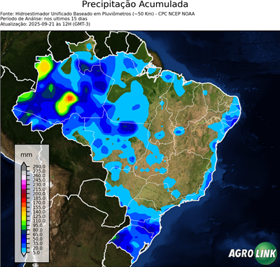 15 dias