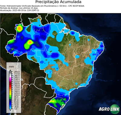 15 dias