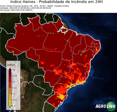 24 horas