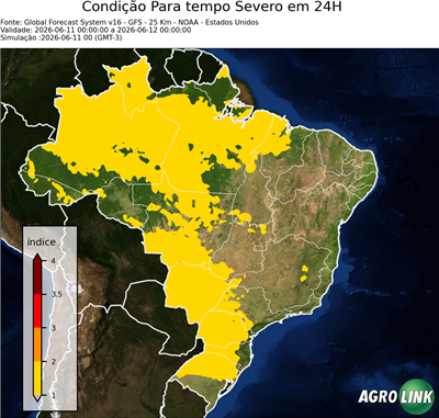 24 horas